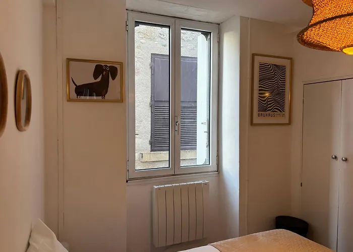 Apartment Le Pendentif - Centre Historique Valence (Drome)